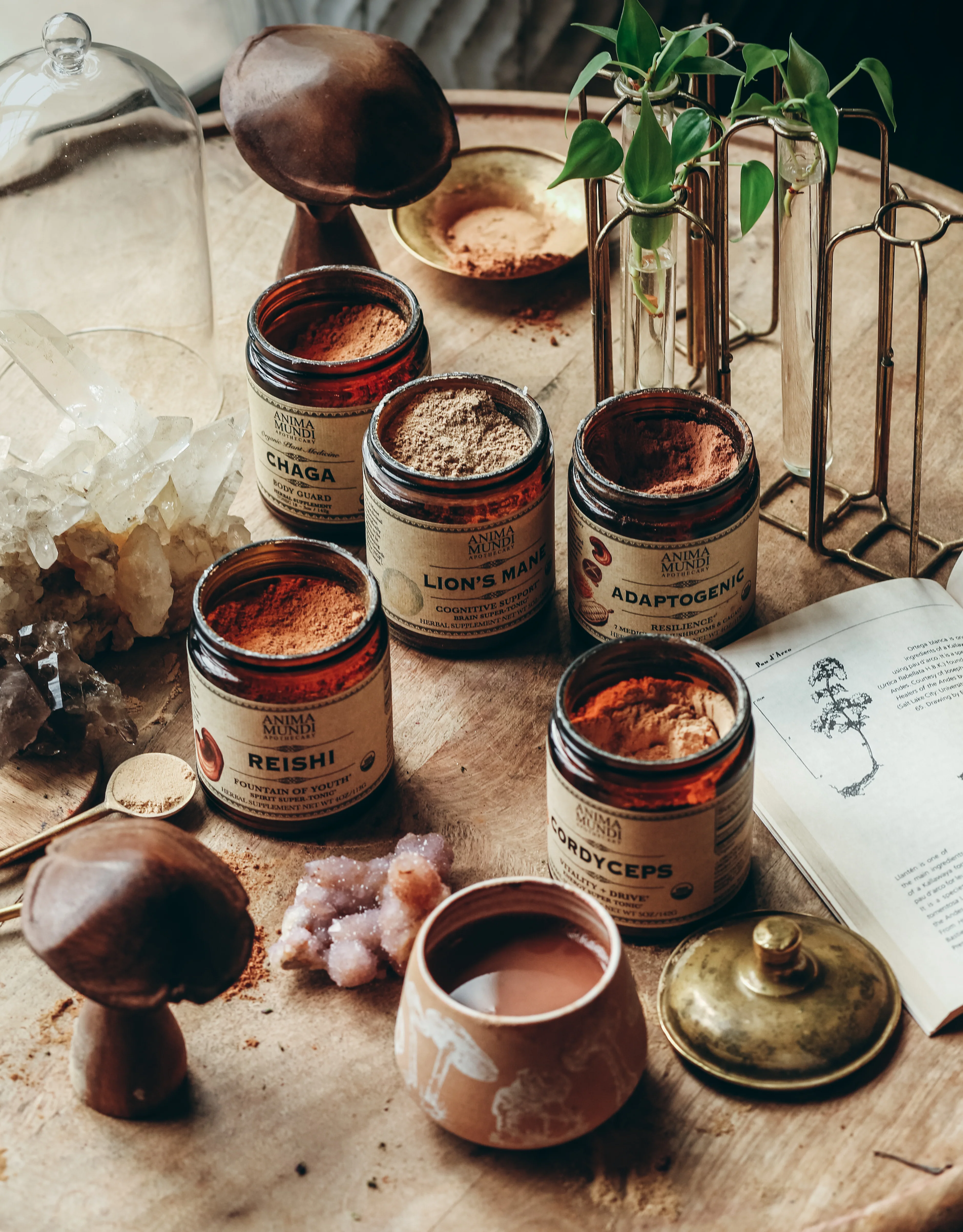 CHAGA | Organic Mushroom Powder, Body Guard* - Image 5